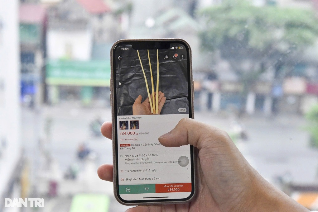 Roi mây cháy hàng trên chợ mạng, cộng đồng tranh cãi kịch liệt - 2 Roi mây cháy hàng trên chợ mạng, cộng đồng tranh cãi kịch liệt - 2