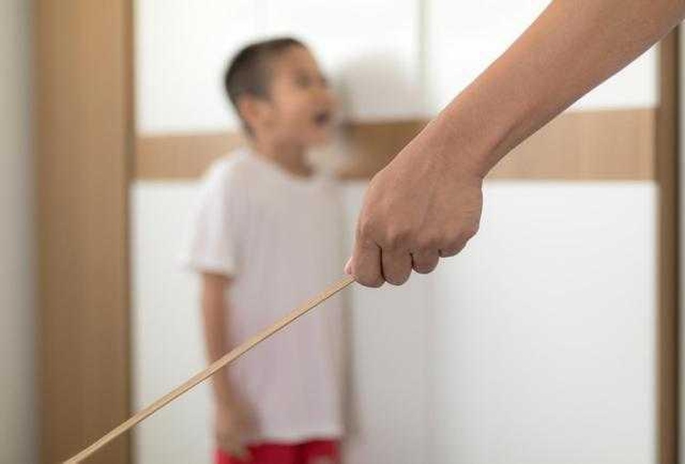 Roi mây cháy hàng trên chợ mạng, cộng đồng tranh cãi kịch liệt - 6 Roi mây cháy hàng trên chợ mạng, cộng đồng tranh cãi kịch liệt - 6